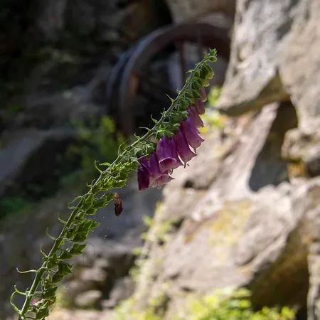 Gipfelglueck Mit Balkon Апартаменты *